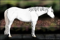 Horse Color:Gray Chestnut Splash Tobiano Frame Blanket 