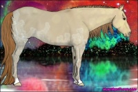 Horse Color:Red Dun Ice 