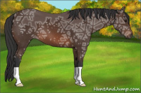 Horse Color:Bay Ice 