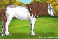 Horse Color:Red Ice Roan Splash Frame 
