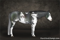 Horse Color:Black Sabino Splash