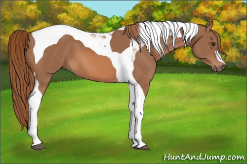 Horse Color: Chestnut Tobiano 