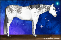 Horse Color:White Spotted Grullo Ice Roan Splash Rabicano 