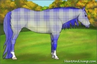 Horse Color:Watercolor Plaid Buckskin