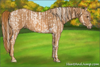 Horse Color:Palomino Varnish  Brindle