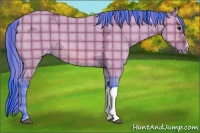 Horse Color:Watercolor Plaid  Bay Ice 