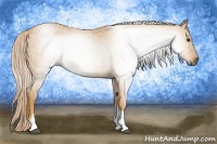 Horse Color:Gray Palomino Tobiano