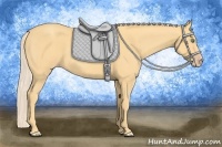 Horse Color:Gold Cream Champagne 
