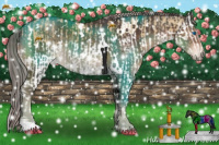 Horse Color:Amber Champagne Dun Splash  and White Spotted Chocolate Palomino 