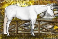 Horse Color:Chestnut Snowflake Varnish 
