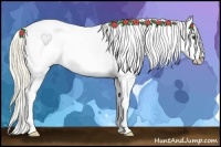 Horse Color:Palomino Tobiano Blanket 