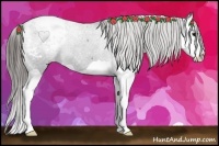 Horse Color:Black Splash Snowcap 