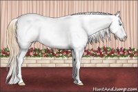 Horse Color:Buckskin Pearl Near Fewspot 