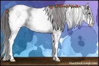 Horse Color:White Spotted Black Blanket 