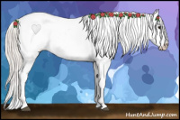 Horse Color:Silver Bay Varnish 