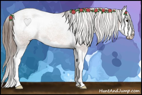 Horse Color: Bay Splash Snowcap 
