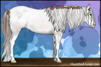 Horse Color:Bay Splash Snowcap 
