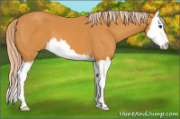 Horse Color:Chocolate Palomino Splash
