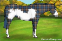 Horse Color:Plaid  Liver Chestnut Frame 