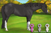 Horse Color:Smoky Black