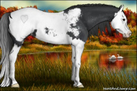 Horse Color:Brown Splash Snowcap 