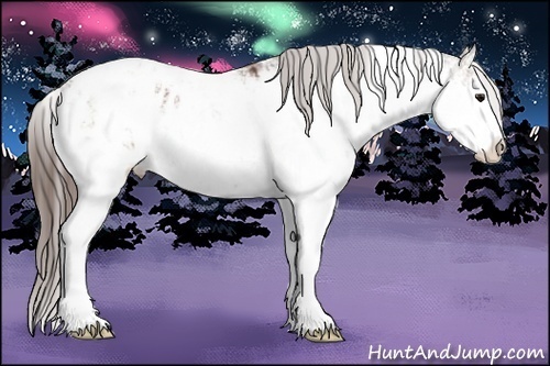 Horse Color: Bay Sabino Blanket 