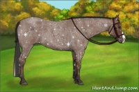 Horse Color:Bay Roan Splash 