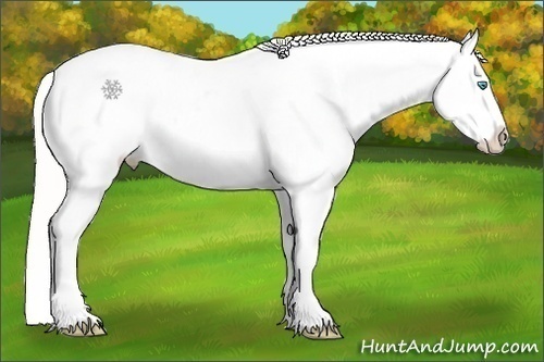 Horse Color:Cremello Blanket 