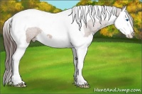 Horse Color:Bay Splash Tobiano Varnish 