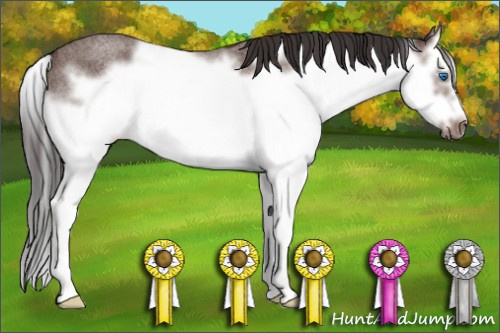 Horse Color: Bay Roan Splash Frame 