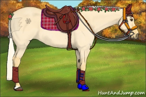 Horse Color:Palomino Dun 