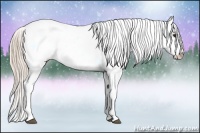 Horse Color:Chocolate Palomino Appaloosa