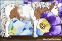 Horse Color:Chestnut Splash Tobiano 