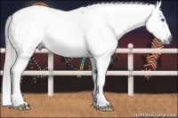 Horse Color:Gray Bay Roan Sabino Splash Near Leopard 