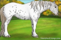 Horse Color:Smoky Blue Roan Tobiano Blanket 