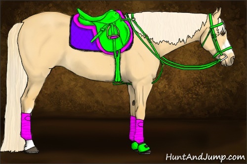 Horse Color:Palomino Dun 