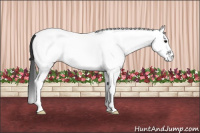 Horse Color:White Spotted Brown Roan Snowcap 