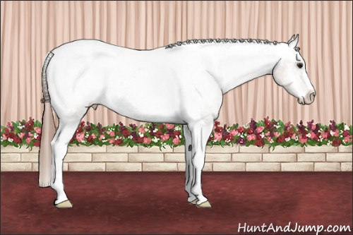 Horse Color:Classic Champagne Tobiano Appaloosa 