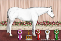 Horse Color:White Spotted Black Splash Frame Appaloosa 