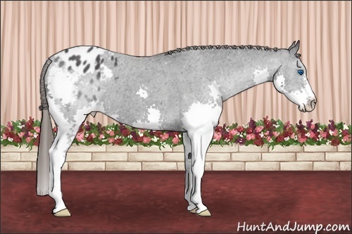 Horse Color: Blue Roan Splash Blanket 