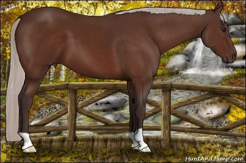 Horse Color: Silver Bay 