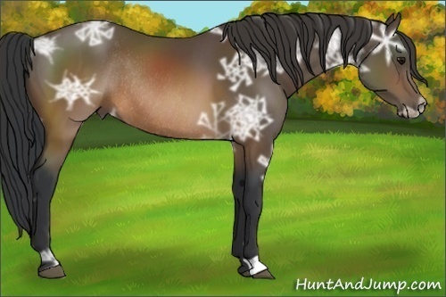Horse Color:Brown Ice Rabicano 