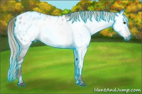 Horse Color:Gray Thunderstruck Chocolate Palomino Appaloosa 