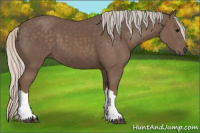 Horse Color:Silver Black 