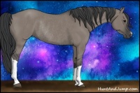 Horse Color:Grullo Rabicano 