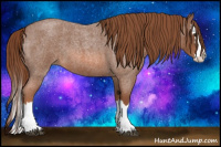 Horse Color:Liver Red Roan Splash 