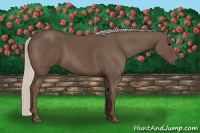 Horse Color:Silver Black 