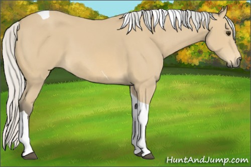 Horse Color: Silver Buckskin Tobiano 