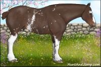 Horse Color:White Spotted Liver Chestnut Rabicano 