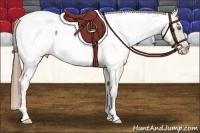 Horse Color:Liver Chestnut Pearl Near Fewspot 